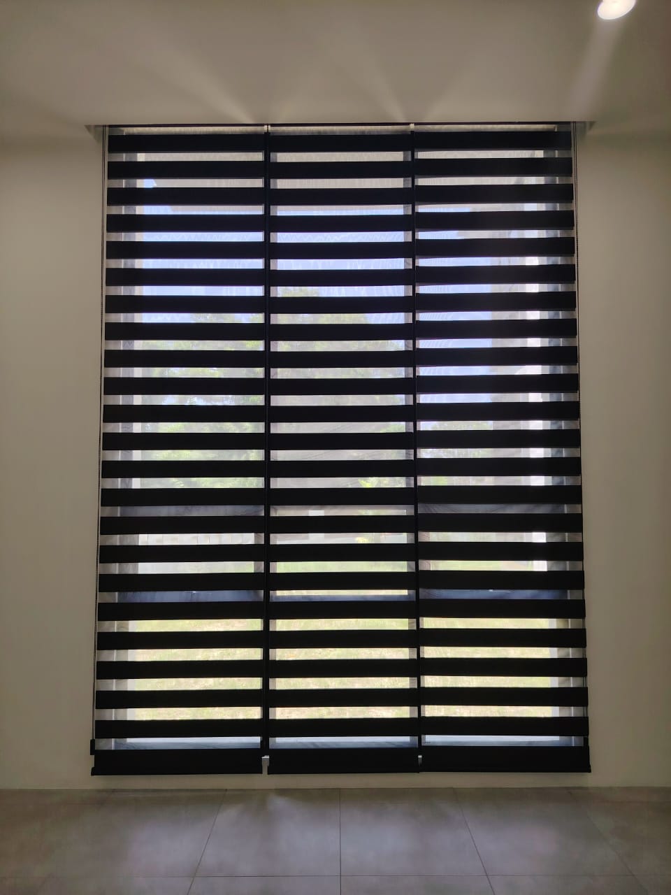 ZEBRA BLINDS